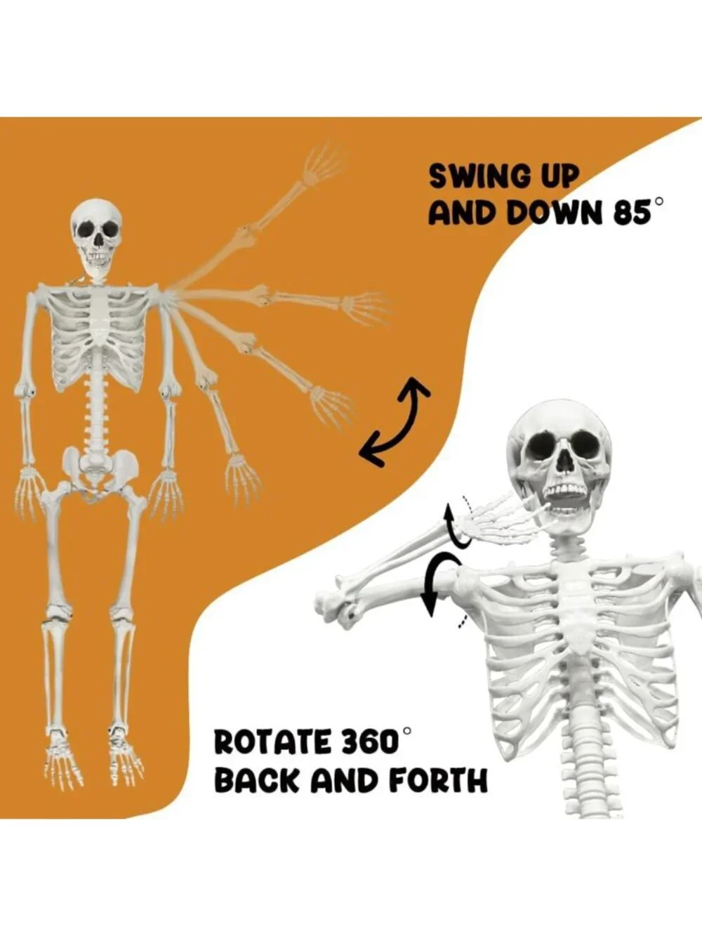 5.4FT Life Size Skeleton with Cat & Dog - Halloween Decor, Spooky Home Accent